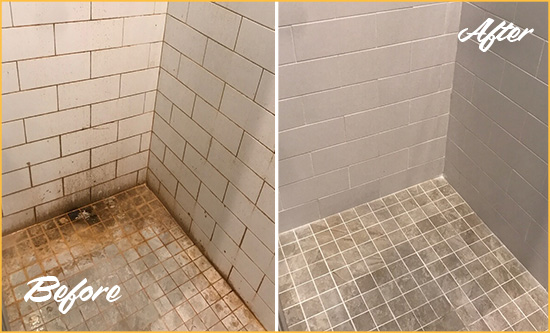 Before and After Picture of a Royal Palm Beach Shower Tile and Grout Cleaned to Eliminate Mold and Stains