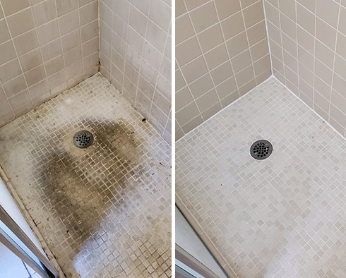 Shower Before and After a Tile Cleaning in West Palm Beach, FL