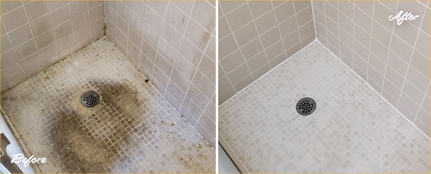 Shower Before and After a Superb Tile Cleaning in West Palm Beach, FL