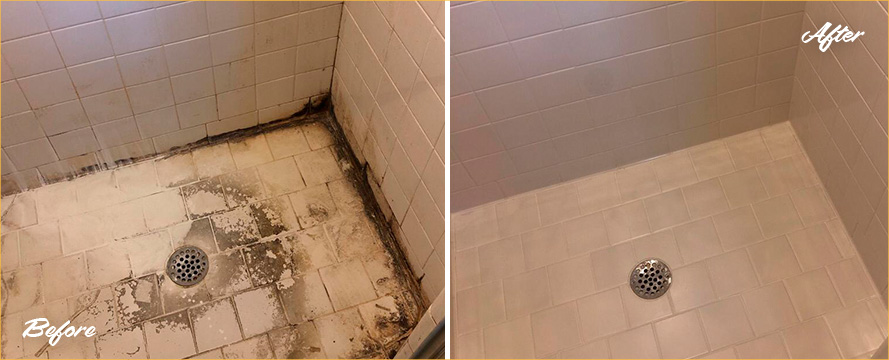 Shower Restored by Our Professional Tile and Grout Cleaners in West Palm Beach, FL