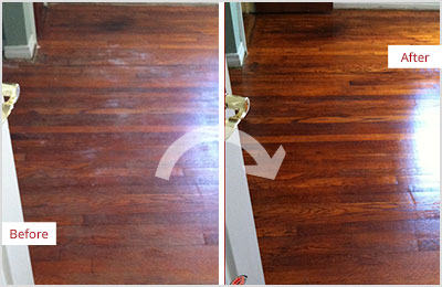 Sir Grout of Jupiter Deep Wood Cleaning